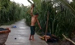 Vĩnh Long: Xác minh clip nghi vấn chồng đánh vợ dã man giữa đường