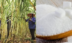 Mức lương phổ biến của các vị trí trong ngân hàng mới nhất năm 2024