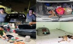 Trấn áp 2 đối tượng trộm chó, dùng súng tự chế chống trả công an ở Bình Dương