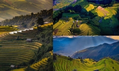 Mê mẩn vẻ đẹp ruộng bậc thang Mù Cang Chải mùa lúa chín, lung linh như tranh vẽ giữa rừng