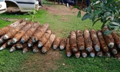 Đang đào hố trong sân nhà, người đàn ông ngã ngửa vì phát hiện 101 quả bom