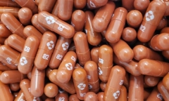 Bộ Y tế chính thức đưa thuốc kháng virus Molnupiravir vào phác đồ điều trị COVID-19