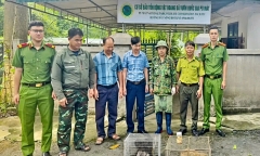 Tin tức thời sự 24h: Hai cá thể khỉ quý được người dân giao nộp