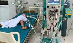 3 trẻ ở Gia Lai bị đàn ong vò vẽ vỡ tổ tấn công, một bé tử vong thương tâm