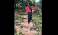 Đang đi bộ trong công viên, người phụ nữ bất ngờ bị rắn 