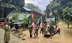 Đà Nẵng sau bão số 13 Kalmaegi: Loạt cây ven biển bật gốc, đường phố ngập rác