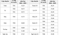 Trường đầu tiên ở TP.HCM công bố điểm chuẩn vào lớp 10, cao nhất là 33,75 điểm
