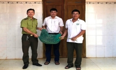 Phát hiện con vật nặng 21kg bò vào nhà lúc nửa đêm, người dân liền báo ngay chính quyền địa phương ở Đắk Lắk