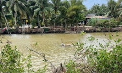 Điều tra vụ nam thanh niên nhảy sông tử vong, nghi bị truy đuổi sau khi đánh người