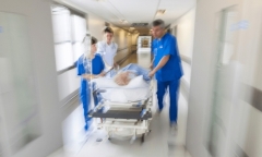 Trèo cây cao cắt tỉa cành tránh bão số 3, cụ ông 71 tuổi ngã trọng thương