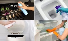 Công dụng bất ngờ khi kết hợp gừng với kem đánh răng