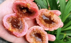 Thói quen tưởng chừng vô hại