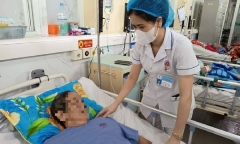 Cụ bà nguy kịch, gãy 14 xương sườn sau khi bị hươu nhà húc