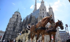 Vienna giành lại vị trí 