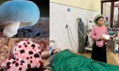 Ngộ độc sau khi ăn nấm dại, 2 bố con nhập viện