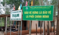 Báo cáo vụ nhân viên trạm bảo vệ rừng bị nhóm người lạ đánh đập đến nhập viện