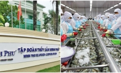 Công ty con của “vua tôm” Minh Phú muốn huy động vốn 10 triệu USD