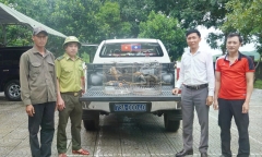 Tin tức thời sự hôm nay (13/10): Người dân giao nộp 2 cá thể chim trời quý hiếm