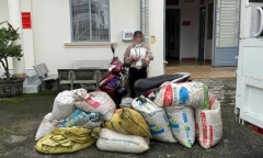 Bắt quả tang Phạm Thị Thanh Lương trộm hơn 300kg cà phê ở Lâm Đồng