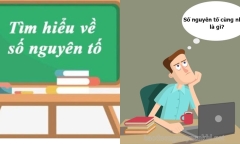 Số nguyên tố là gì? Thừa số nguyên tố là gì? Các cách phân tích thừa số nguyên tố áp dụng cực dễ năm 2023