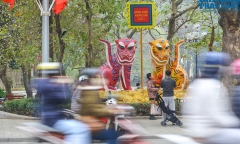 Cận cảnh cặp 