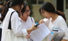 Đáp án môn KHTN Vật lý - Hóa học - Sinh học mã đề 222 tốt nghiệp THPT 2022