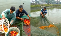Làng sản xuất 