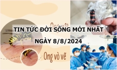 Tin tức đời sống ngày 8/8/2024: Nam sinh mất ý thức sau khi bị ong vò vẽ đốt