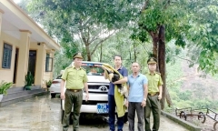 Phát hiện 