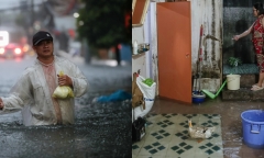 TP.HCM: Vịt bơi tung tăng trong nhà dân, nhiều tuyến đường ngập úng sau mưa lớn