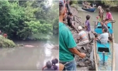 Tìm kiếm thi thể mẹ trên sông, con trai bị cá sấu cắn tử vong thương tâm