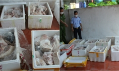 Lào Cai: Tiêu hủy hơn 400kg thịt lợn bốc mùi hôi thối