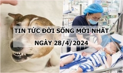 Tin tức đời sống ngày 28/4/2024: Bé 5 tuổi bị chó cắn khi sang nhà bác chơi