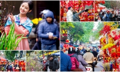 Không gian rực rỡ của chợ hoa Hàng Lược những ngày cận Tết Giáp Thìn 2024
