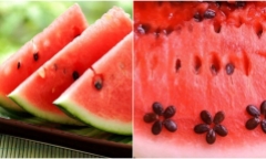 Những bài thuốc hay từ hạt dưa hấu