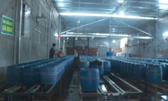 Tạm dừng hoạt động 6 cơ sở sản xuất liên quan vụ gần 3.000 tấn giá đỗ ủ chất cấm