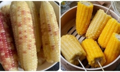 Điều cấm kỵ khi ăn ngô luộc
