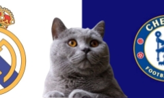 Nhận định soi kèo trận Real Madrid vs Chelsea, 6h ngày 7/8: Mèo tiên tri chọn The Blues