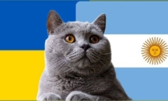 Nhận định soi kèo trận U23 Argentina-U23 Ukraine Olympic Paris 22h ngày 30/7: Mèo tiên tri gánh team