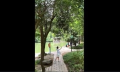 Video: Mải nhìn gái đẹp nhảy múa, người đàn ông trượt chân rơi xuống nước