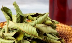 Loại lá phơi khô thành 