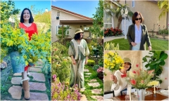 Cơ ngơi “triệu đô” của sao Việt: Biệt thự đẹp như resort của Hồng Đào có gì?