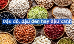 Đậu đỏ, đậu đen hay đậu xanh: 