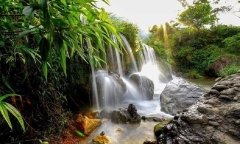 Vi vu Suối Cái Ba Vì Hà Nội