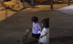 Thấy bạn bị chó tấn công, bé gái lập tức