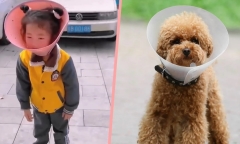 Tranh cãi việc ông nội 