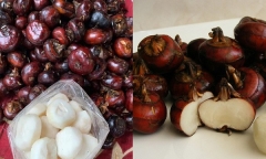 Loại củ được ví là “thần dược” cực ít calo, cứu tinh cho người huyết áp cao: Vào mùa giá rẻ như cho