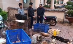 Đắk Nông: Bắt giữ nhóm đối tượng trộm 3 tấn chó 