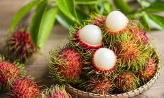 Bình Định: Bé gái 5 tuổi hóc hạt chôm chôm tử vong thương tâm