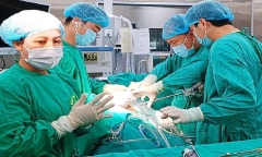 Cảm động vợ hiền hiến thận cứu chồng